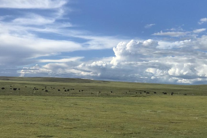 Ecological protection law takes effect on Friday in Tibet