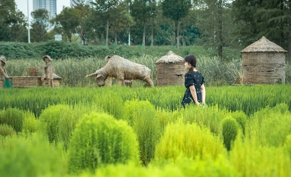 Discover OVC's allure via metro