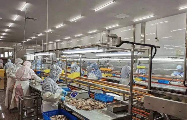 China's largest tuna processing base put into operation in Zhoushan