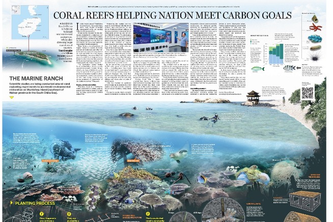 Coral reefs helping nation meet carbon goals