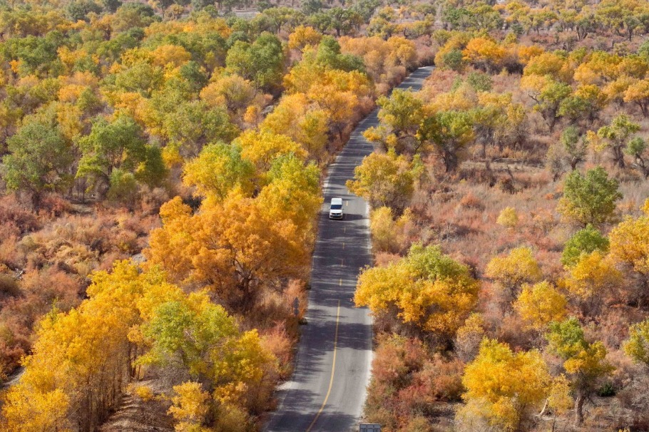 China launches Urumqi-Almaty passenger bus service