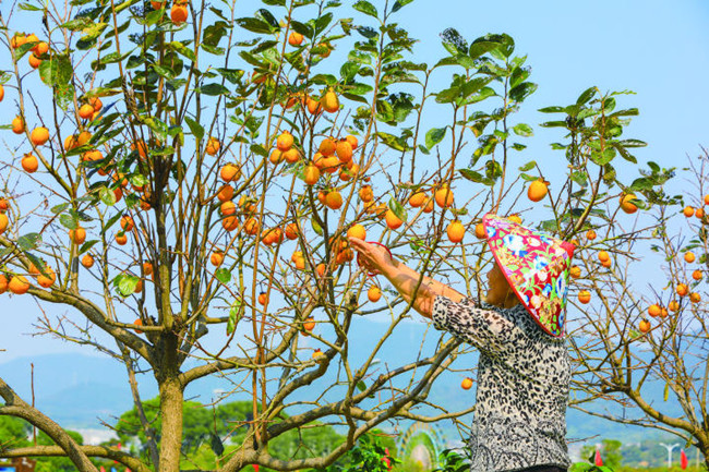 In pics: How Zhoushan locals spend autumn