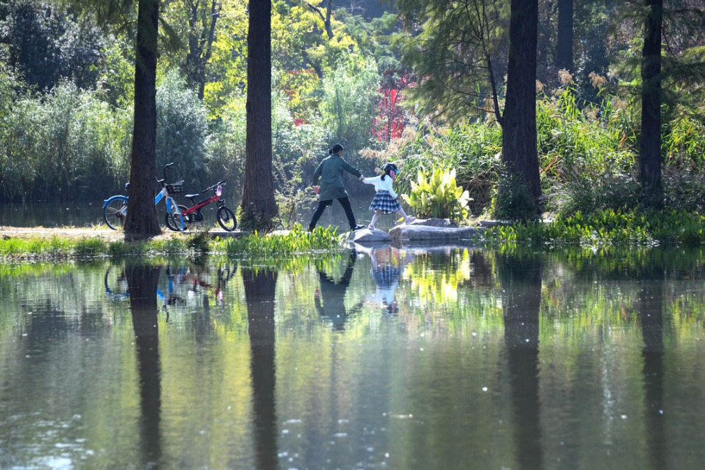 Nation makes progress in protecting wetlands