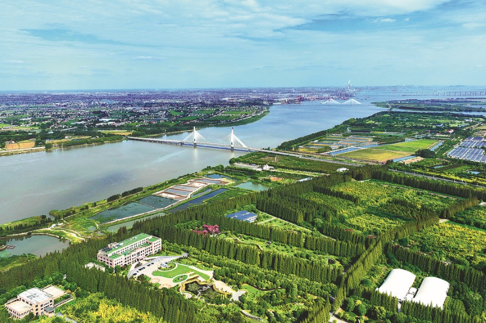 Yangtze Delta a ballast of China's steady economic growth: index report