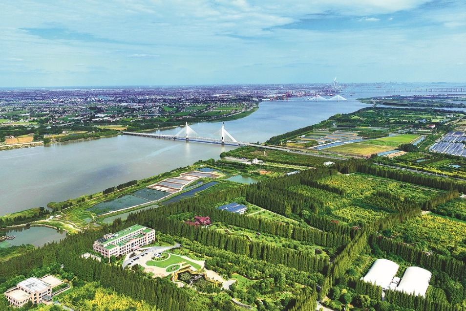 Yangtze Delta a ballast of China's steady economic growth: index report