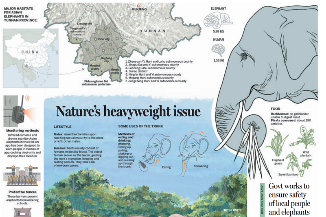 Nature's heavyweight issue