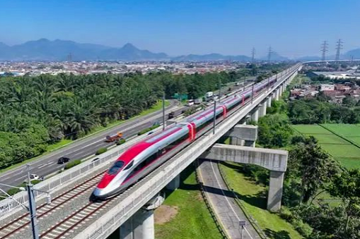 Optics Valley firms integrate into BRI layout