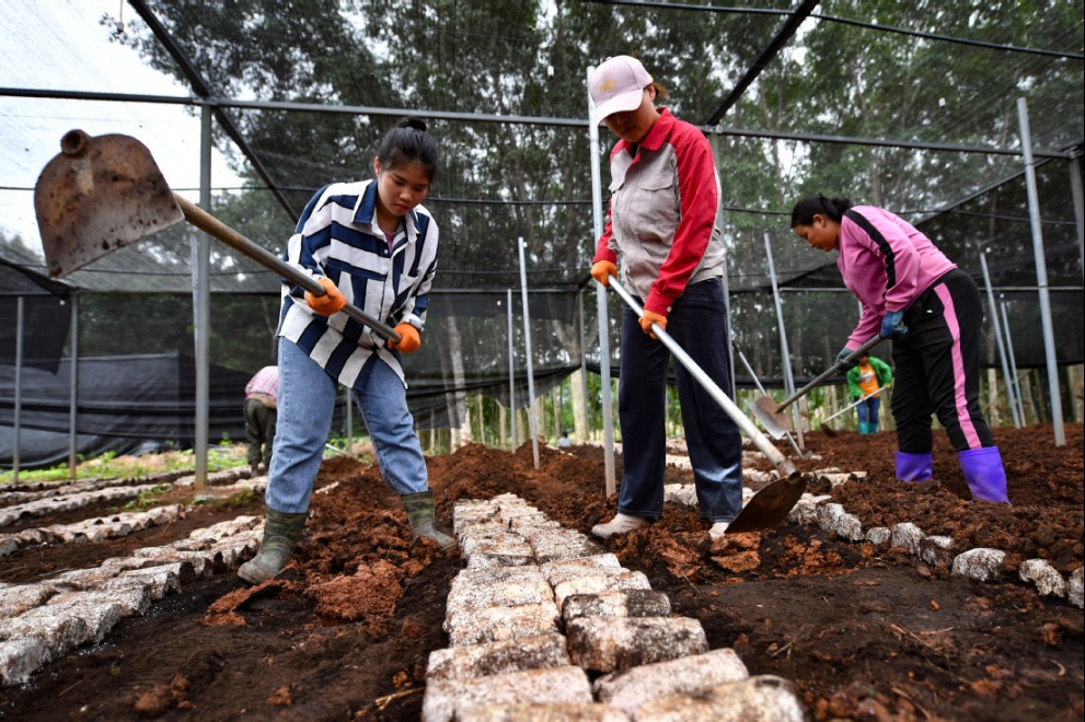 Specialty industries driving rural growth