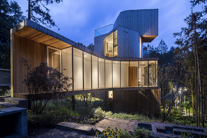 A hotel hidden in a pine forest in Anhui