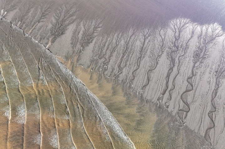 Winter wonders at the Qiantang River