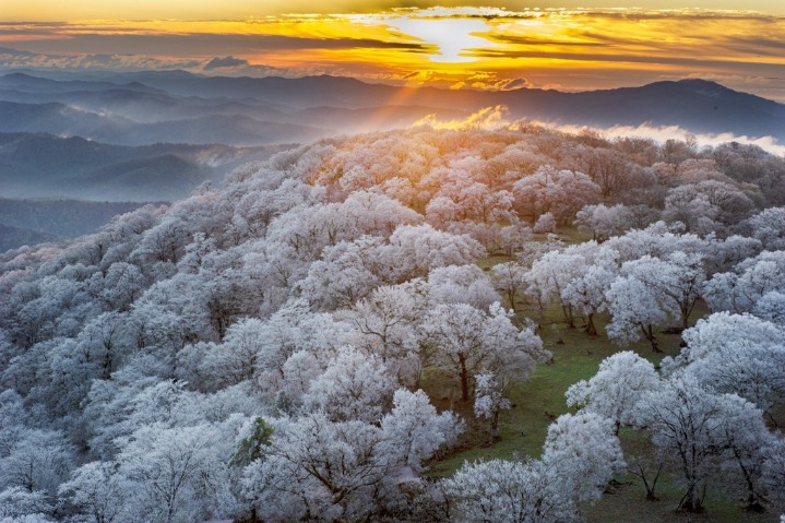 Meteorological tourism an emerging market in China: report