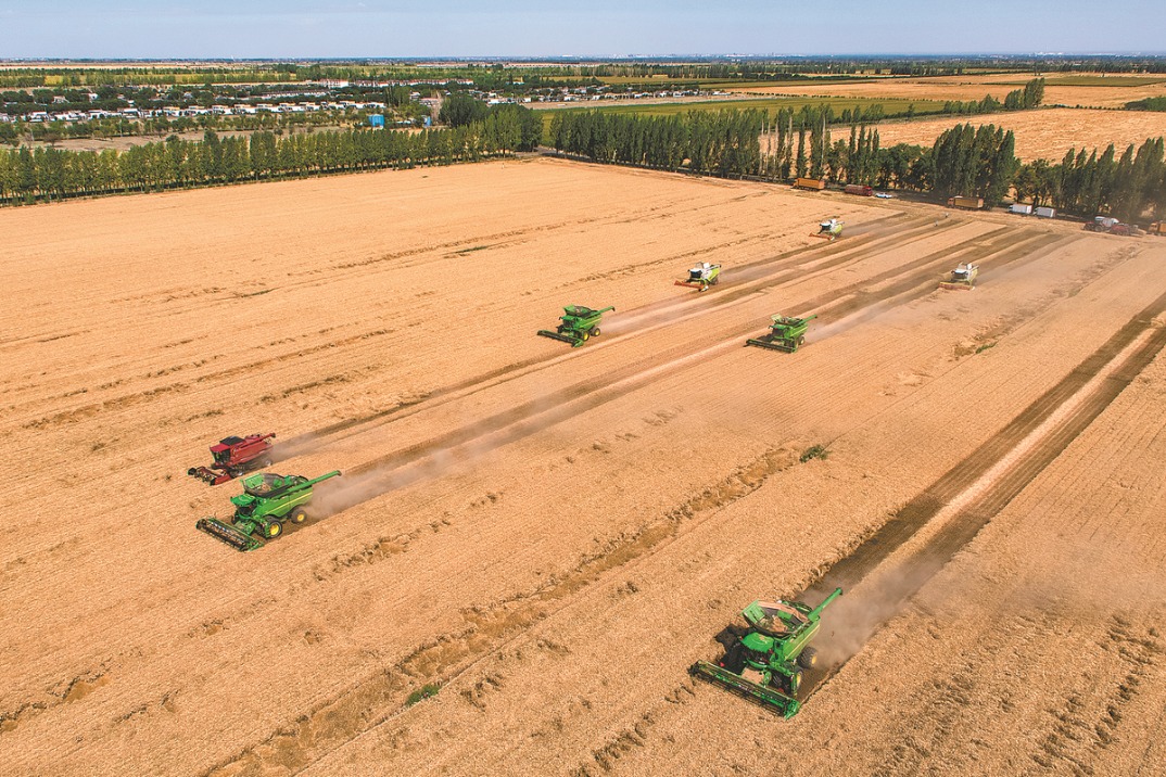 Xinjiang villagers find a better way with wheat