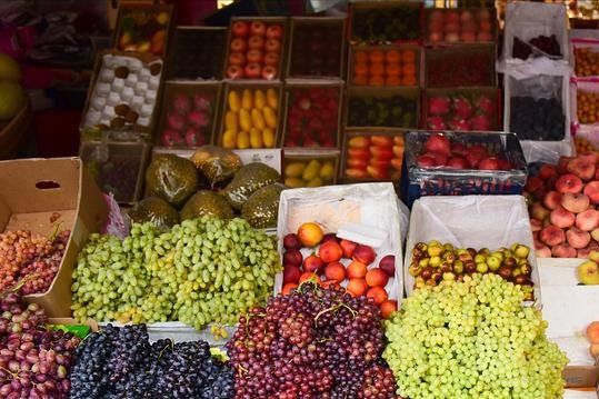 Aid project diversifies crop cultivation in Xinjiang