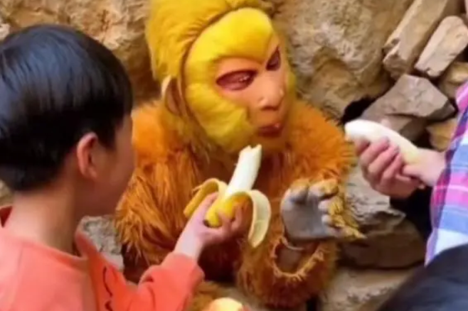 Journey to the waistline: 'Just eat and get paid' job attracts applicants in Hebei