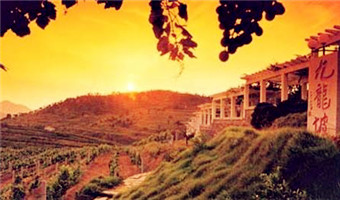 Huadong Vineyard