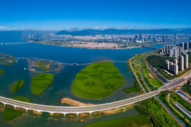 Mangrove forests flourish in Xiamen's coastal area