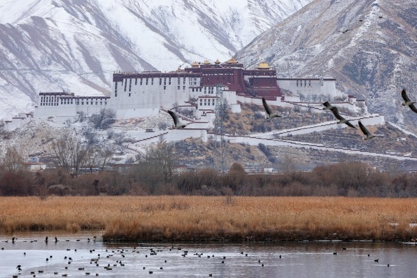 Snow-adorned Potala Palace emanates dignity
