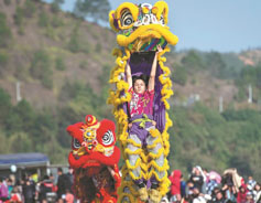 Lion dance troupes roaring in Guangxi