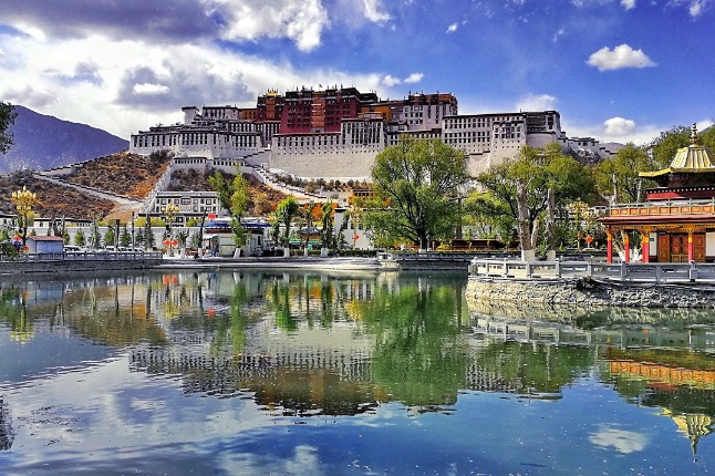 Registered foreign trade companies in Xizang exceed 1,000