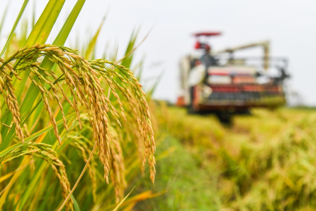 China's rural progress fuels economic recovery and high-quality development