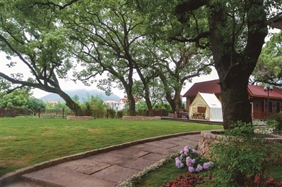 Donghai Sky Corridor Tourist Area: A haven for nature lovers