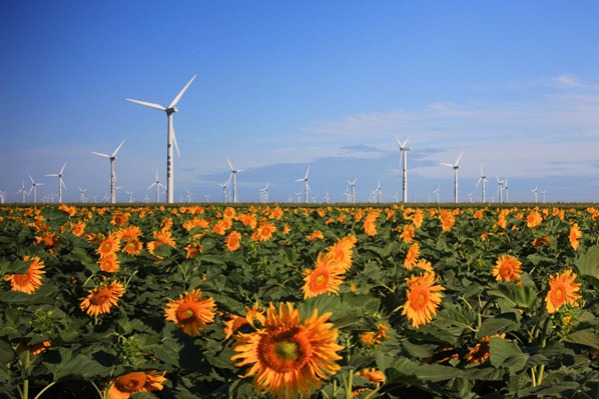 Jilin deputy focuses on new energy industry