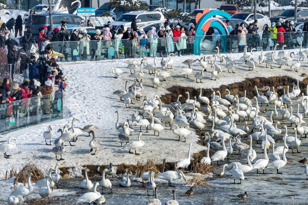 Cities that went viral shift their focus to sustainable tourism