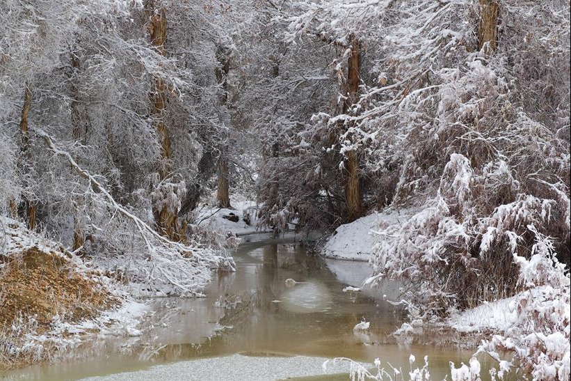 Jilin ski resort offering sublime rime scenery