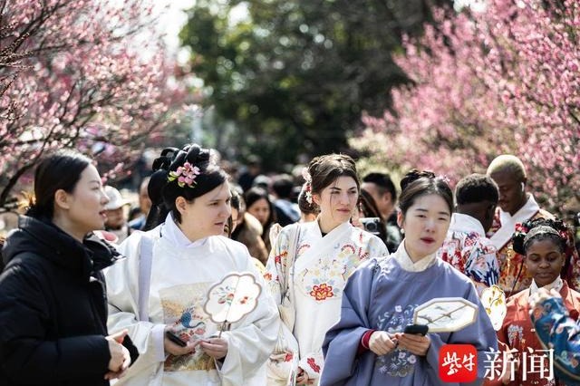 Nanjing international students gather at Plum Blossom Hill to experience Chinese culture