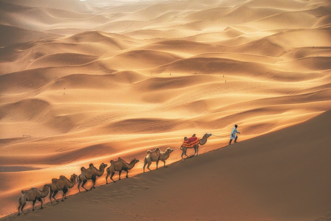 Xinjiang women take giant steps for progress