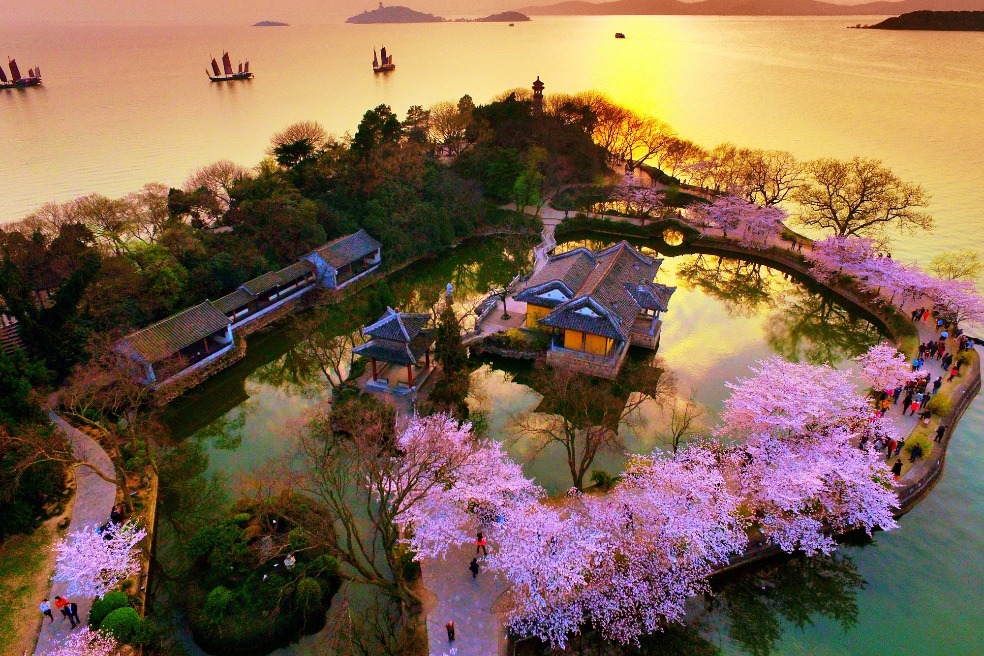 Wuxi's cherry blossom season elevated by helicopter tours and global connections