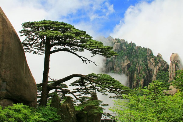 Partnership seeks to utilize technology to enhance Huangshan tourism appeal
