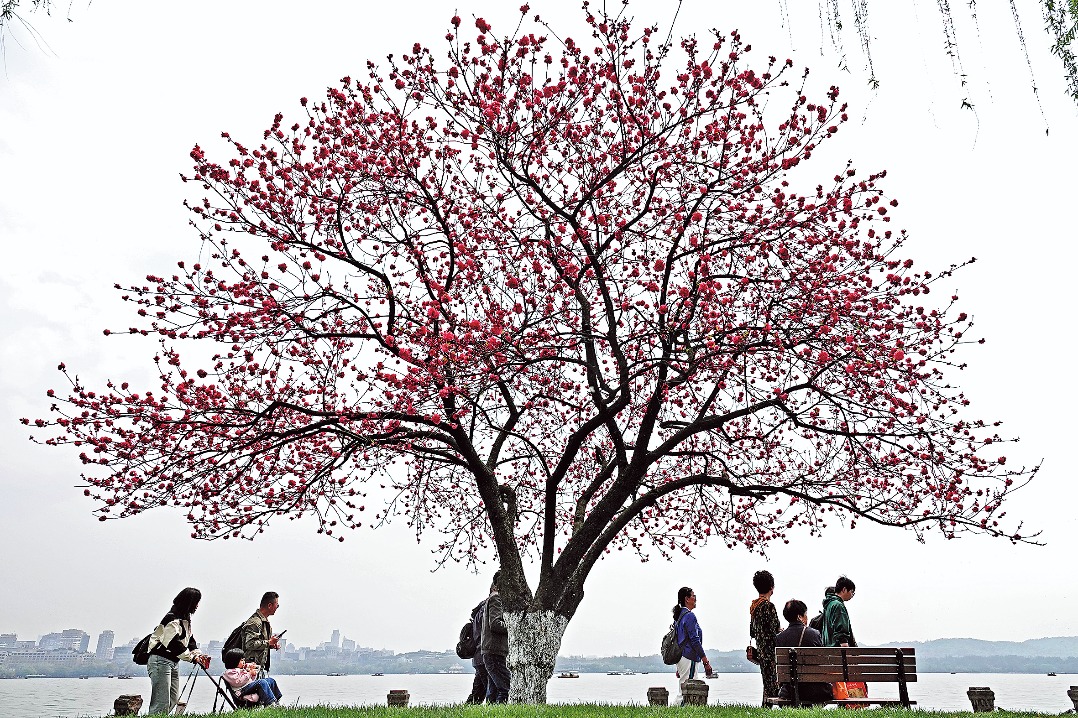 Spring blooms give a boost to tourism
