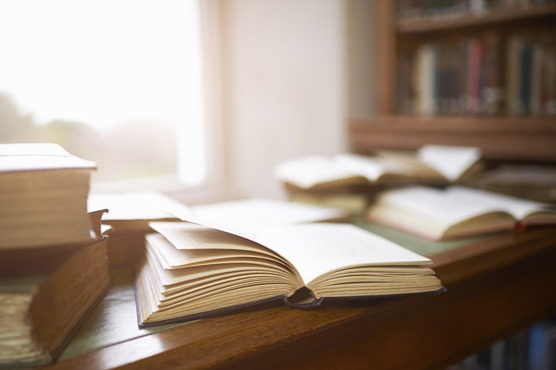 Book-reading bloggers become a trend