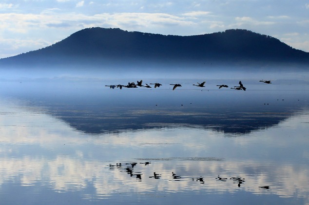 A light mist envelops Swan Lake in Rongcheng