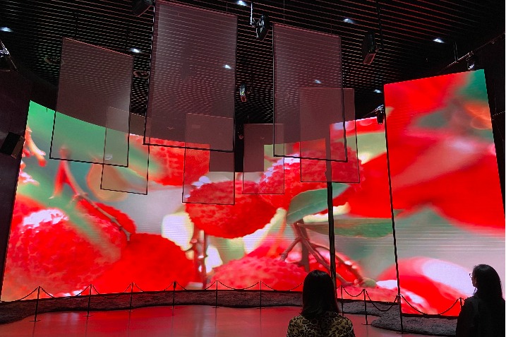 China’s only national-level litchi museum in Guangdong