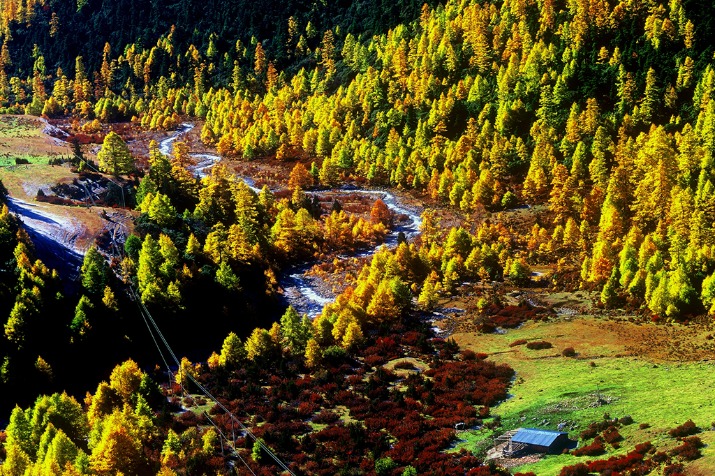 Charming autumnal views of Shangri-La