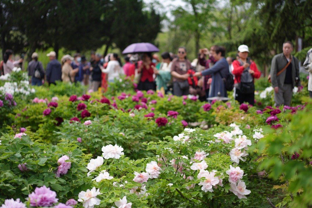 China to launch month-long tourism promotion campaign