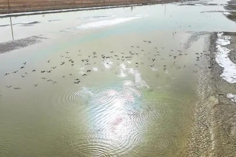 Xinjiang starts water diversion for China's longest inland river