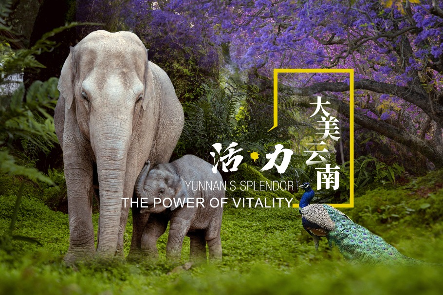 Yunnan's splendor: The power of vitality