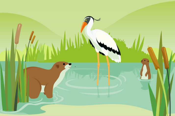 Things to know about region-specific environmental management