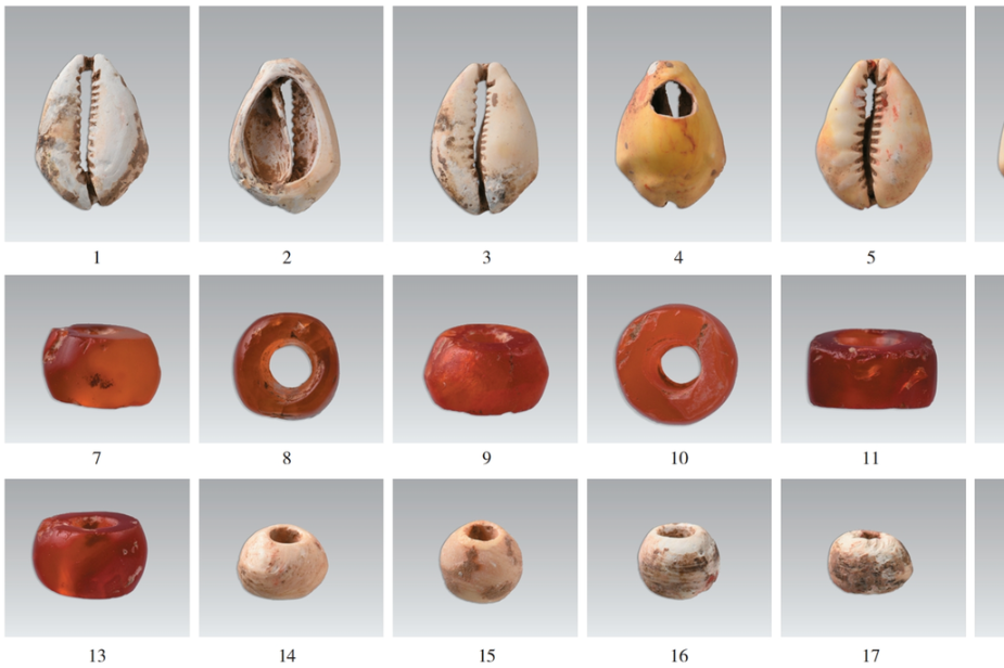 Ancient tomb unveiled: Discoveries from Western Zhou Dynasty