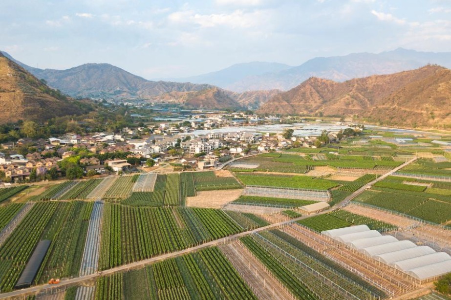 China to step up financial support for green development