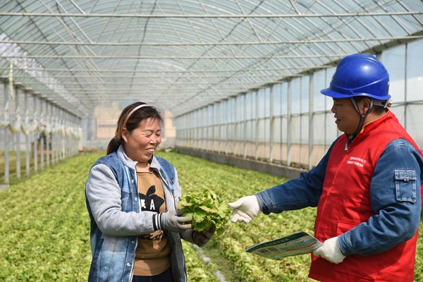 State Grid helps boost rural vitalization in Henan with enhanced efforts