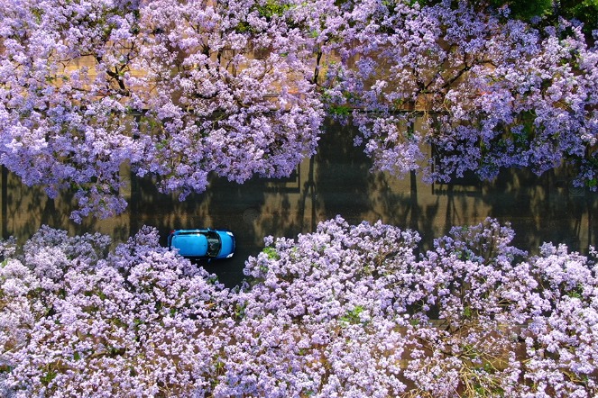 Discover beautiful Kunming