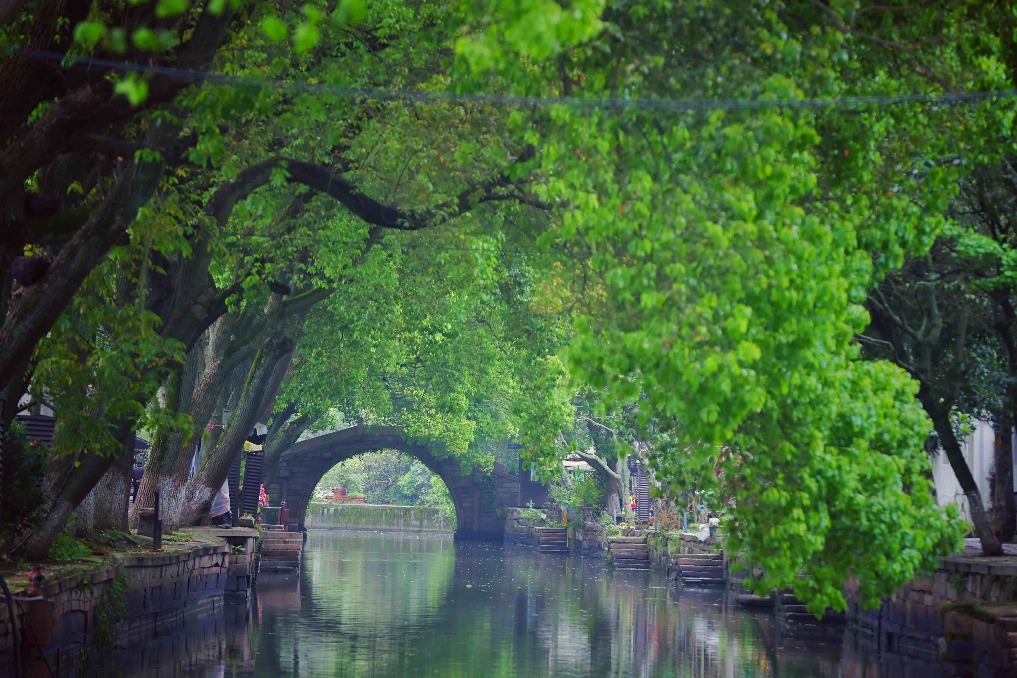 Suzhou a pillar in showcasing China's vibrant traditional culture