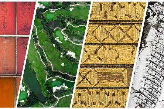 Explore the vibrant colors of each season in Tianjin Binhai New Area