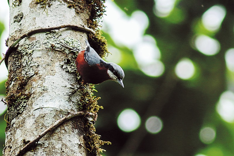 Remote region a hive of natural wonders