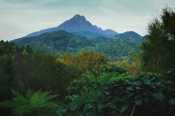 Discover the beauty of Wuzhishan in Hainan