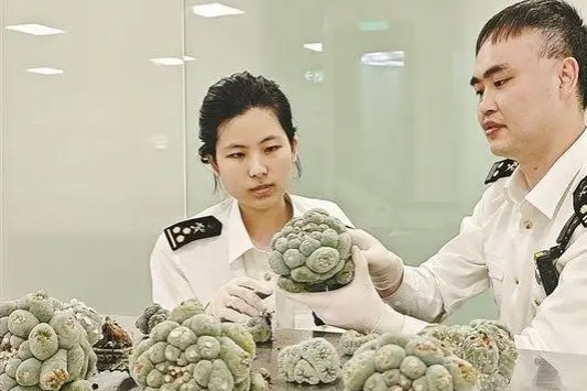 China adopts law on customs duties